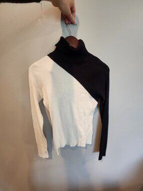 Colorblock Turtleneck Sweater